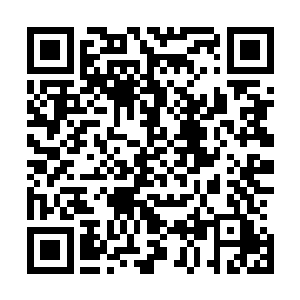 李谦是肯定饿了的他们在学校的时候就一起吃过很多次食堂二维码生成