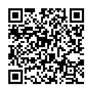 李谦正在给自己和廖辽授课的感觉――老师提出问题二维码生成