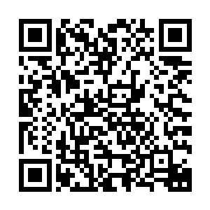 杜克和他的合作者们已经完成了很多令人难以置信的出色电影二维码生成