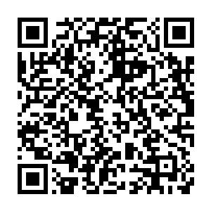 杜克看着参与会议的卢卡斯影业以及华纳兄弟负责宣传推广的专业人士二维码生成
