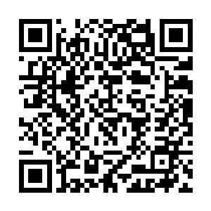 杜克重新审阅了美术组和特效组绘制的厚厚一摞图稿二维码生成