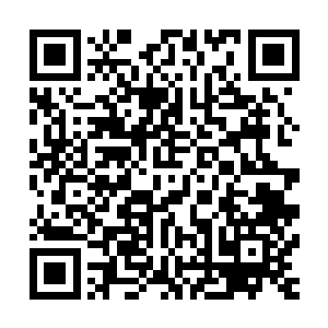 杜合顿时脸就垮了不过一秒钟不到立刻又恢复到了原来的样子二维码生成