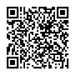 束的极紧的黑发以及……已经无法完全遮住的白发二维码生成