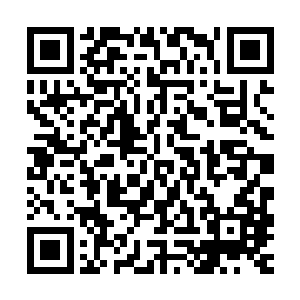来不及细想伸出手一把拉住正低头移动字块的林大夫将他拉开了二维码生成