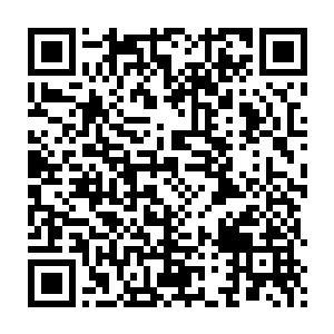 来的时候他们身上的骄娇二气已经被草原上的风雪磨砺的差不多了二维码生成