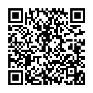 来自两大妖王的攻击即便是接近大成的金钢之体也无法完全无视二维码生成