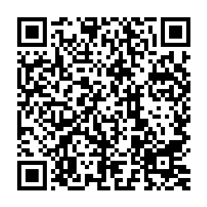 来自工业光魔公司生物小组的设计师经过了不断的尝试和反复琢磨二维码生成