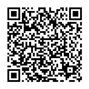 来自雾亡位面的亡巫大修普诺斯不仅从外表还是内在都是最年轻的一位二维码生成