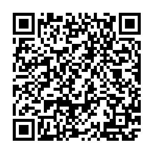来试炼的牲口们又自发的在野狼山谷距离野狼城堡五公里的范围内来了几次扫荡二维码生成