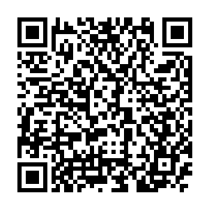 杨上将便感觉出王世子这是参照西方发达大国的社会信任体系来构架的二维码生成