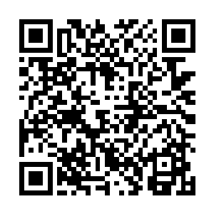 杨以冬刚演了一段和皇后的戏下来便看见桑怜在刷官网二维码生成