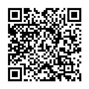 杨以冬拍完戏份回化妆间补妆便看见了桑怜气愤的样子二维码生成