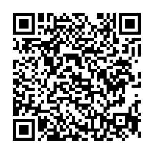 杨公子说的极是这件事情的确要尽快引起神之大陆的大势力的注意才行二维码生成