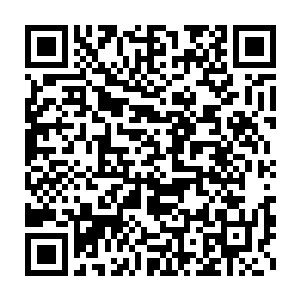 杨凌的战斗力以及对于界主强者的威胁能力就会得到一个质的蜕变二维码生成