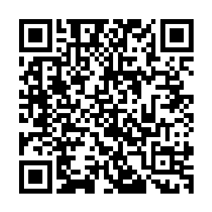 杨威和振武已经不是刚来的时候那没头没脑乱碰乱撞的样子了二维码生成