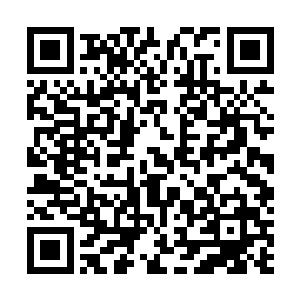 杨家任何人对她稍有意见杨远青便得跟你分说个一二三来二维码生成