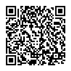 杨小丽是打算把自己房间和爸妈的房间空出来留给林小乖夫妇和朱慧慧夫妇二维码生成