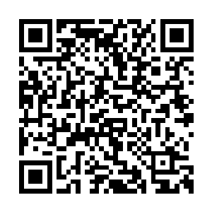 杨巡抚和方应物明着将筹办学校的事务交给了他二维码生成