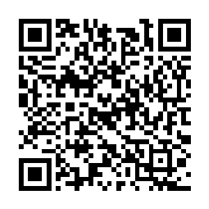 杨建跟随在众人的身后也终于到达了此行的目的地二维码生成