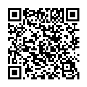 杨开一眼便看到了在这整个星域正中心位置的一片地方二维码生成