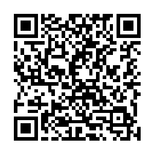 杨开之前跟那第二座墨巢的领主说牞卡领主惧怕人族老祖二维码生成