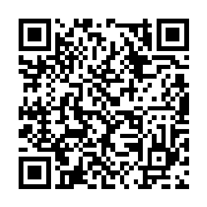 杨开也没感觉到神禽的气息变强尽管它已经很强了二维码生成