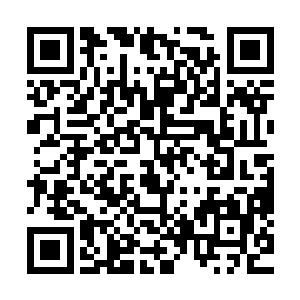 杨开从眼前这络腮胡子青年身上感受不到任何一丝虚假的成分二维码生成