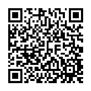 杨开以心神连通玄界珠控制它偷袭一下谭君昊还是没什么问题的二维码生成