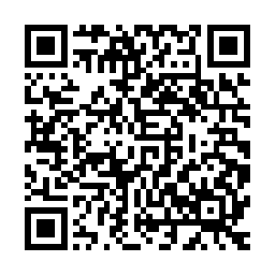 杨开估计小家伙自出生到现在还没见到过年纪差不多大的孩子二维码生成