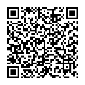 杨开发现自己最喜欢的一个姿势还是在传承洞天内无意中探索到的一个二维码生成