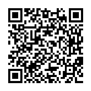 杨开忽然又抓耳挠腮――他完全不知道该如何才能炼化不老树二维码生成