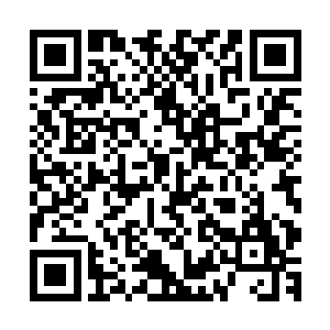 杨开甚至怀疑自己已经来到了这世界残片的地底最深处的位置二维码生成