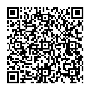 杨开的眼角余光立刻瞄到一只如刚才击杀那个武者一模一样的鳄鱼凶兽从沼泽下方窜了出来二维码生成