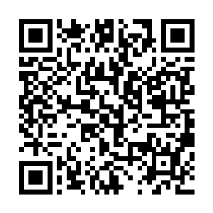 杨开竟然就解决了困扰整个恒罗商会上万年无数精英的难题二维码生成