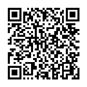 杨开虽透过自身的本源传承看到了一些封镇巨神灵的片段二维码生成