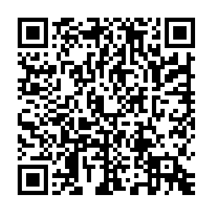 杨总督回答在英明神武的朱主席和富有远见卓识的张总理领导之下二维码生成