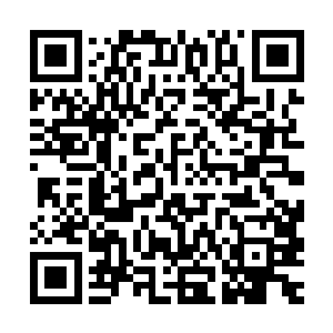 杨戬之所以出手还是因为几个人的表现让杨戬觉得有触手的理由二维码生成