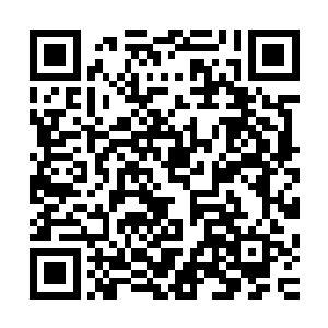 杨戬也忍不住想起了自己在失去意识前一刻自己所见到的一幕二维码生成