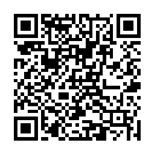 杨戬也是从蛮苍还有之前的血无痕的记忆之中有些了解二维码生成