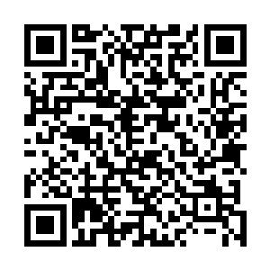 杨戬只感觉一股无比恐怖的死亡气息也是从心底升了起来二维码生成
