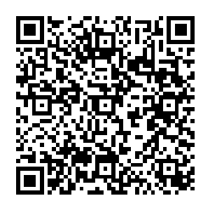 杨戬听后脸上的表情也是变得更加的难股恐怖的气息顿时也是从他的身上散发出来二维码生成