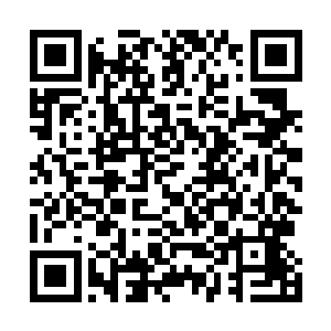 杨戬对于刚才的金刚巨猿和铁背熊王的战斗也十分的疑惑二维码生成