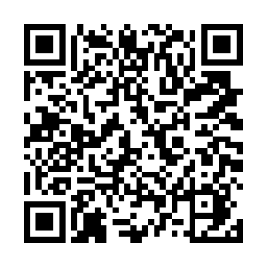 杨戬必是怕玉帝走投无路请师尊出山才送的礼投石问路二维码生成