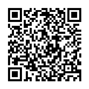杨戬所见过的坟墓没有百万恐怕也有了几十万的程度二维码生成