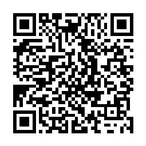 杨戬的目光则定格在了杨定邦左肋下方第四根肋骨的地方二维码生成