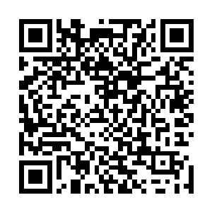 杨戬的目光定格在了香囊之中一片不起眼的红色的叶子上面二维码生成