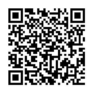 杨戬竟然从眼前的这些枯骨上面感受到了一股恐怖的致命的威胁二维码生成
