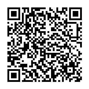 杨春令这个时候完全把他自己编造的事情当做了宋辰砂曾经说过的二维码生成