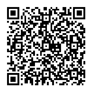 杨晨一下一动那白骨骷髅顿时又像是活了一样的那些碎落在地上的白骨又重新凝聚在了一起二维码生成