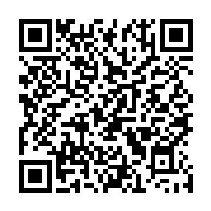 杨晨乘坐的那辆帕萨特撞击在公路边的残骸正好被罡风擦过二维码生成